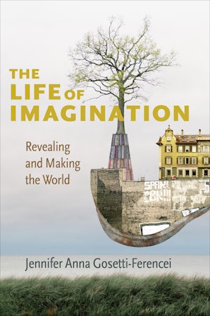 The Life of Imagination