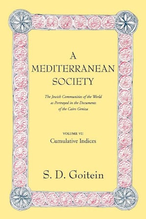 A Mediterranean Society, Volume VI