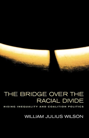 The Bridge over the Racial Divide