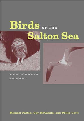 Birds of the Salton Sea