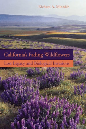 California’s Fading Wildflowers