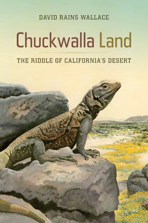Chuckwalla Land
