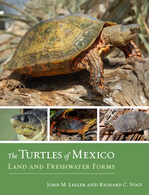 The Turtles of Mexico