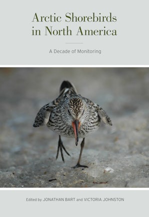 Arctic Shorebirds in North America