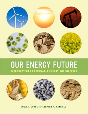 Our Energy Future
