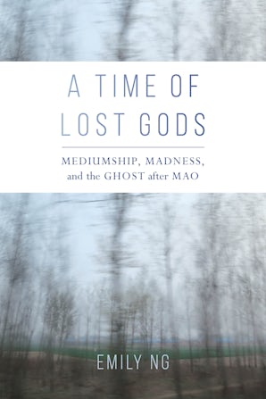 A Time of Lost Gods