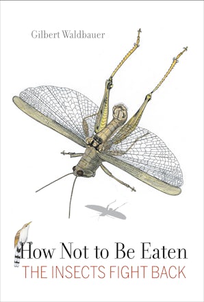 How Not to Be Eaten