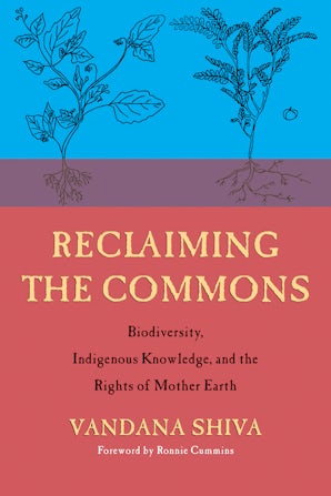Reclaiming the Commons