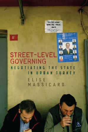 Street-Level Governing