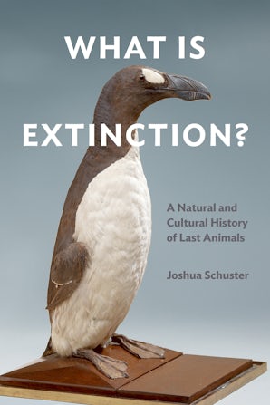What Is Extinction?