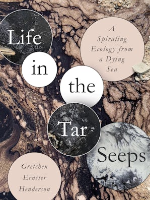 Life in the Tar Seeps