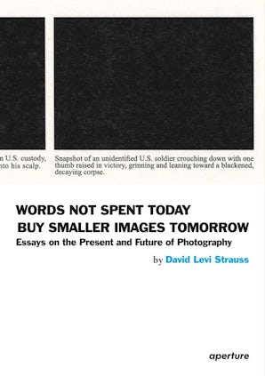 David Levi Strauss: Words Not Spent Today Buy Smaller Images Tomorrow
