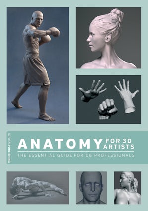 anatomy model for artists