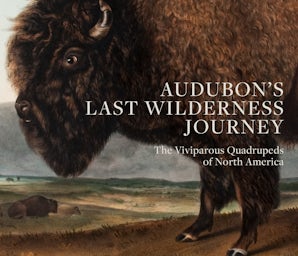 Audubon's Last Wilderness Journey